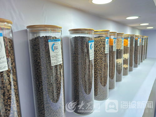 山東一貫寵物用品公司 以高質(zhì)量產(chǎn)品領(lǐng)跑寵物經(jīng)濟賽道